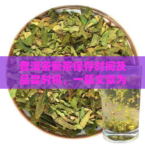 普洱茶新茶保存时间及品尝时机，一篇文章为你全面解答！