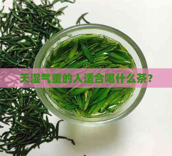 天湿气重的人适合喝什么茶？