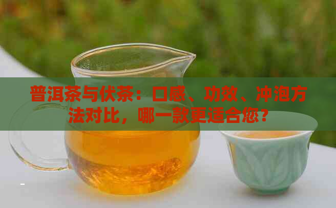 普洱茶与伏茶：口感、功效、冲泡方法对比，哪一款更适合您？