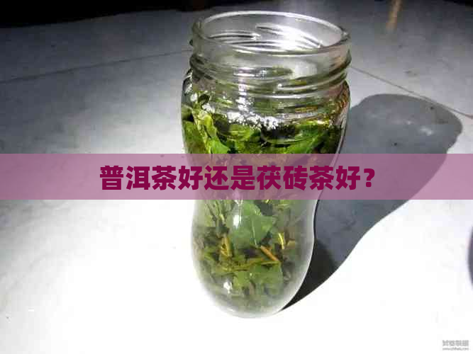 普洱茶好还是茯砖茶好？