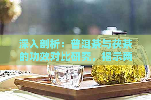 深入剖析：普洱茶与茯茶的功效对比研究，揭示两者独特之处