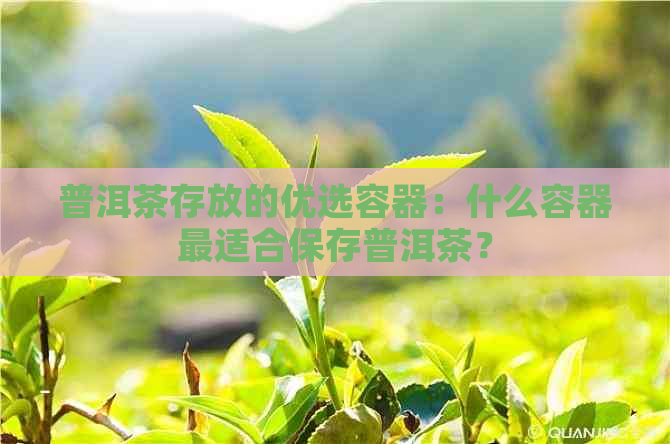 普洱茶存放的优选容器：什么容器最适合保存普洱茶？