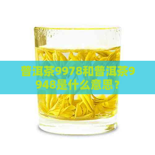 普洱茶9978和普洱茶9948是什么意思？