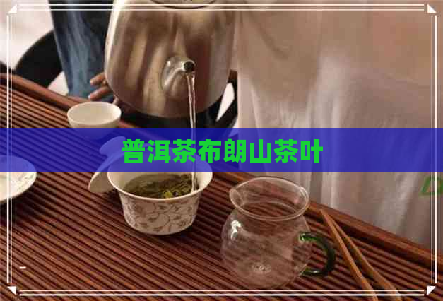 普洱茶布朗山茶叶