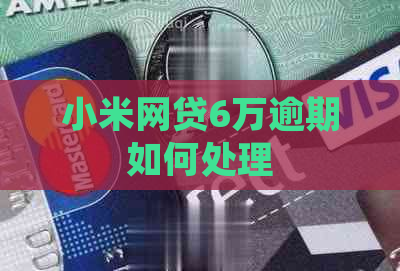 小米网贷6万逾期如何处理