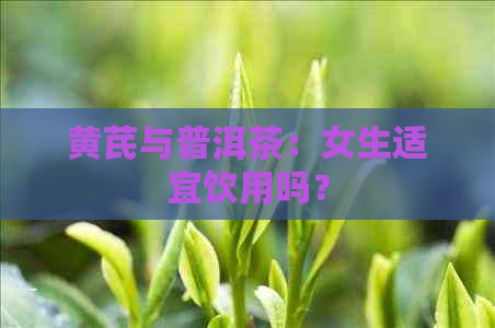 黄芪与普洱茶：女生适宜饮用吗？