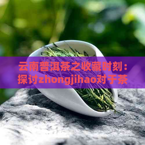 云南普洱茶之收藏时刻：探讨zhongjihao对于茶叶品质与陈化的影响