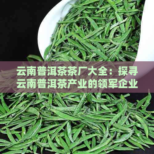 云南普洱茶茶厂大全：探寻云南普洱茶产业的领军企业