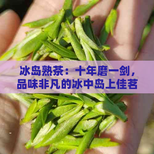 冰岛熟茶：十年磨一剑，品味非凡的冰中岛上佳茗