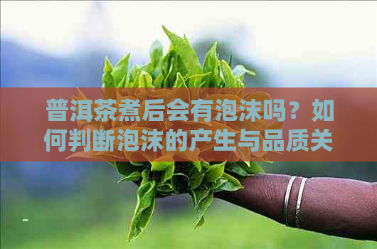 普洱茶煮后会有泡沫吗？如何判断泡沫的产生与品质关系？