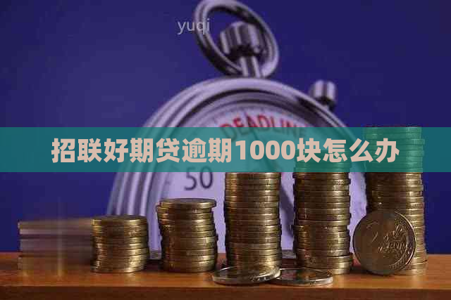 招联好期贷逾期1000块怎么办