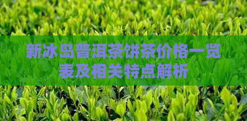 新冰岛普洱茶饼茶价格一览表及相关特点解析