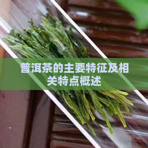 普洱茶的主要特征及相关特点概述