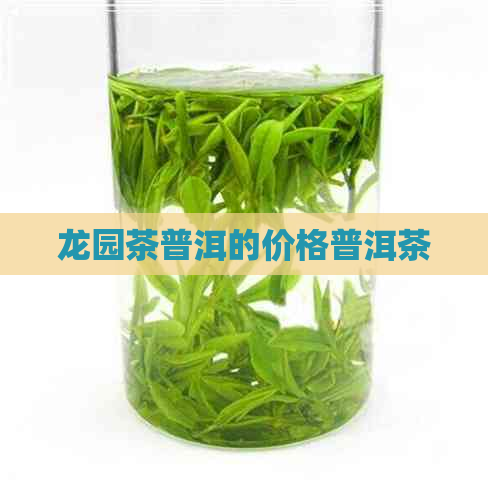 龙园茶普洱的价格普洱茶