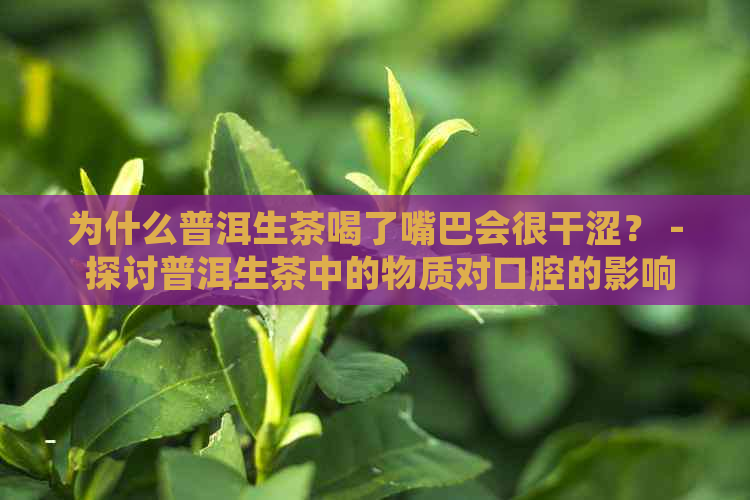 为什么普洱生茶喝了嘴巴会很干涩？ - 探讨普洱生茶中的物质对口腔的影响