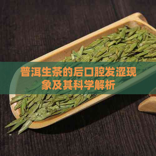 普洱生茶的后口腔发涩现象及其科学解析