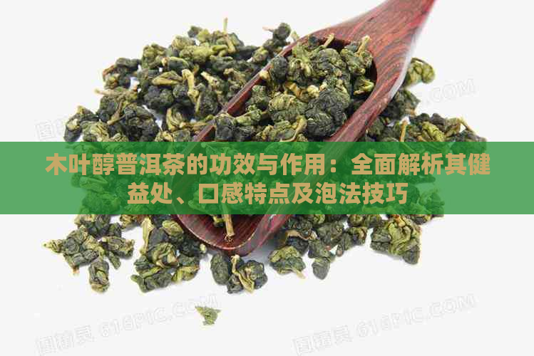 木叶醇普洱茶的功效与作用：全面解析其健益处、口感特点及泡法技巧