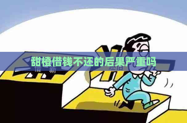 甜橙借钱不还的后果严重吗