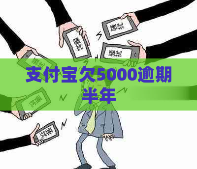 支付宝欠5000逾期半年