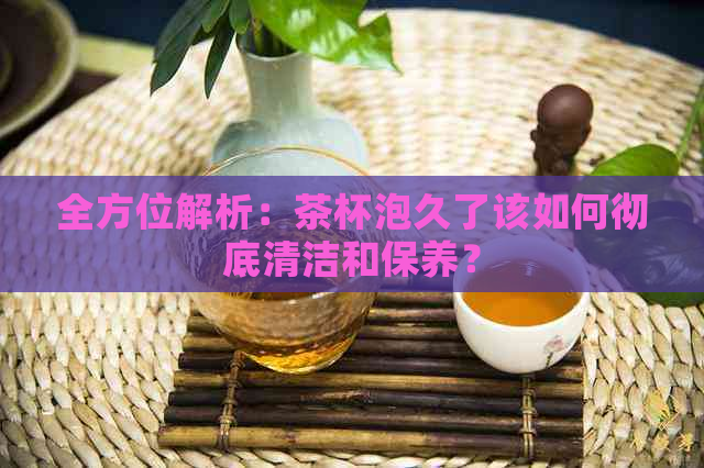 全方位解析：茶杯泡久了该如何彻底清洁和保养？