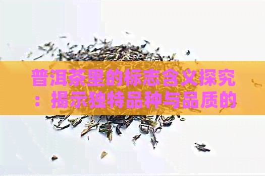 普洱茶里的标志含义探究：揭示独特品种与品质的象征意义