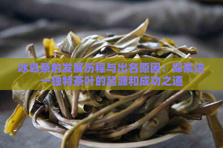 冰岛茶的发展历程与出名原因：探索这一独特茶叶的起源和成功之道