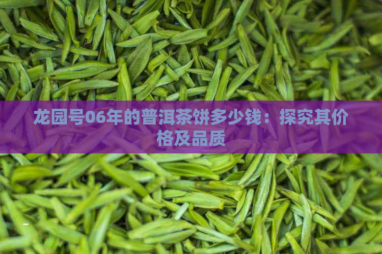 龙园号06年的普洱茶饼多少钱：探究其价格及品质