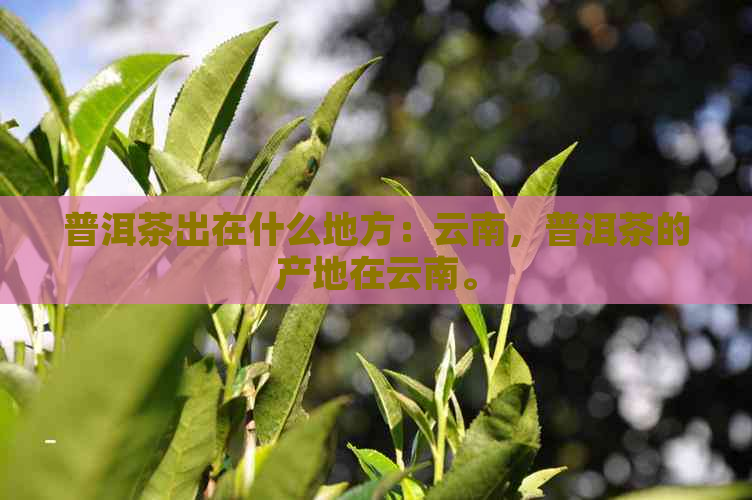 普洱茶出在什么地方：云南，普洱茶的产地在云南。