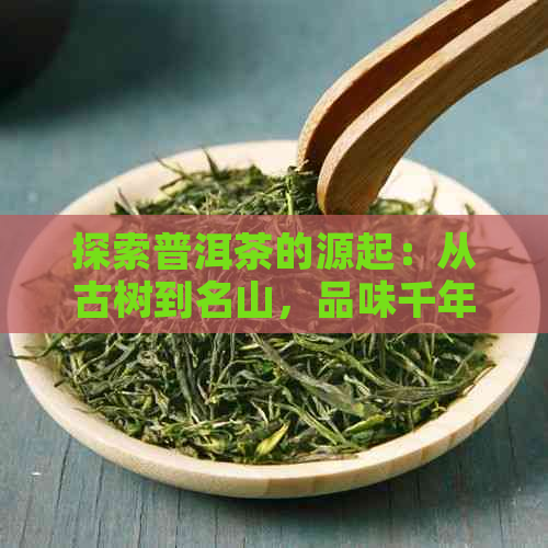 探索普洱茶的源起：从古树到名山，品味千年传承的文化底蕴