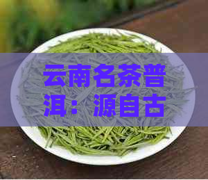 云南名茶普洱：源自古茶树，品味悠长的茶文化