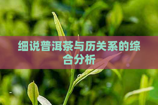 细说普洱茶与历关系的综合分析