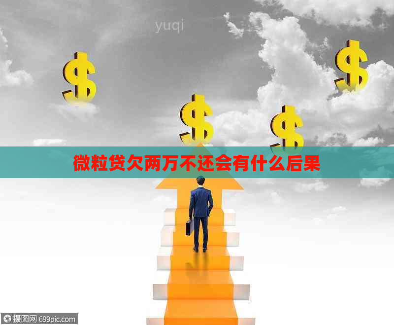 微立贷欠两万不还会有什么后果