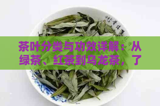 茶叶分类与功效详解：从绿茶、红茶到乌龙茶，了解每种茶的特点与健益处