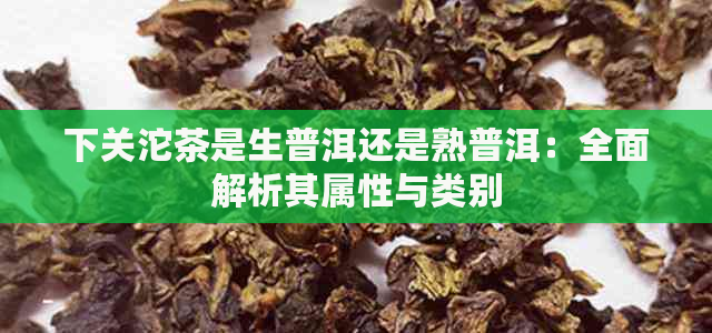 下关沱茶是生普洱还是熟普洱：全面解析其属性与类别