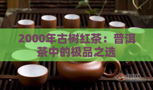 2000年古树红茶：普洱茶中的极品之选