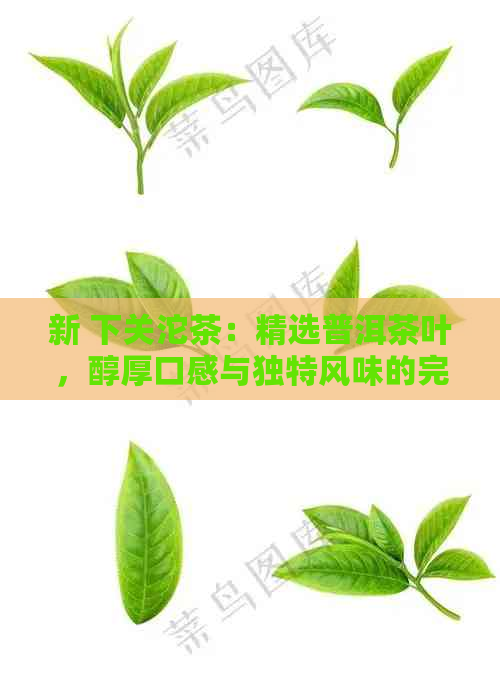 新 下关沱茶：精选普洱茶叶，醇厚口感与独特风味的完美融合