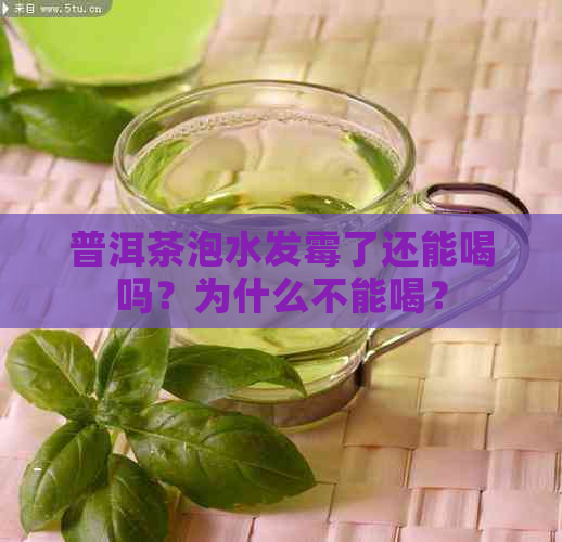 普洱茶泡水发霉了还能喝吗？为什么不能喝？