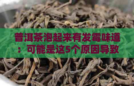 普洱茶泡起来有发霉味道：可能是这5个原因导致的，教你如何避免！