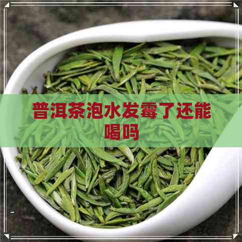 普洱茶泡水发霉了还能喝吗