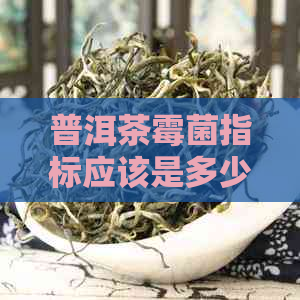 普洱茶霉菌指标应该是多少-普洱茶霉菌超标