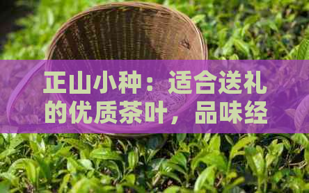 正山小种：适合送礼的优质茶叶，品味经典，尊享长辈