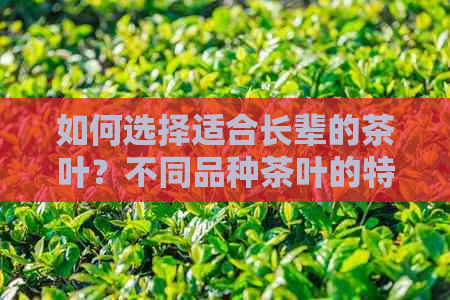 如何选择适合长辈的茶叶？不同品种茶叶的特点和推荐