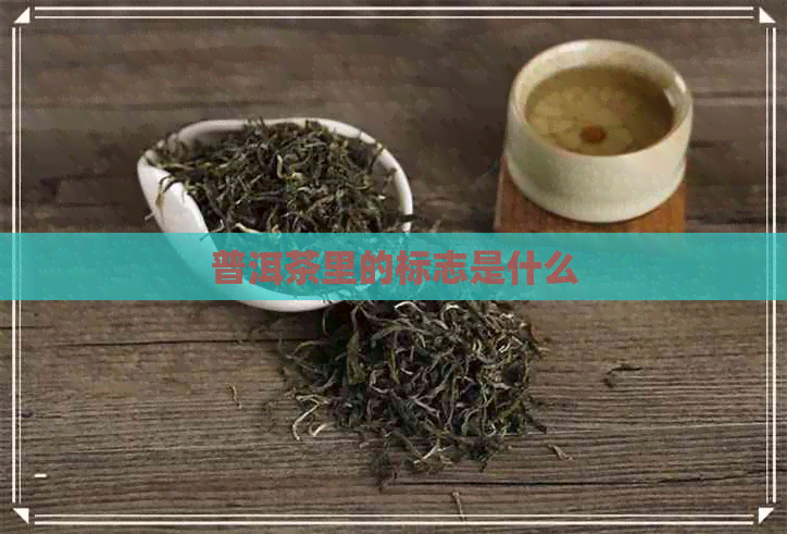 普洱茶里的标志是什么