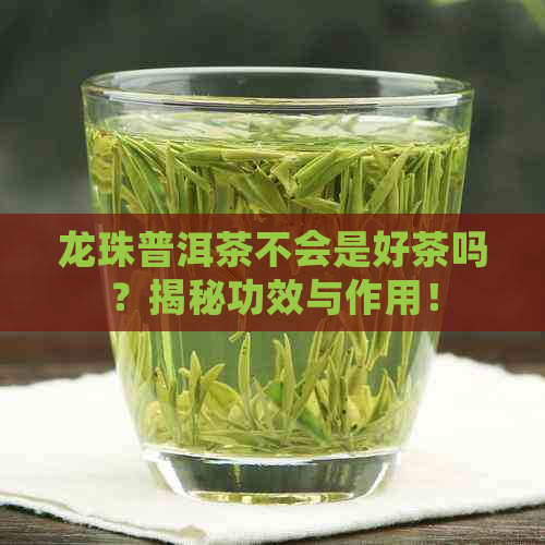 龙珠普洱茶不会是好茶吗？揭秘功效与作用！