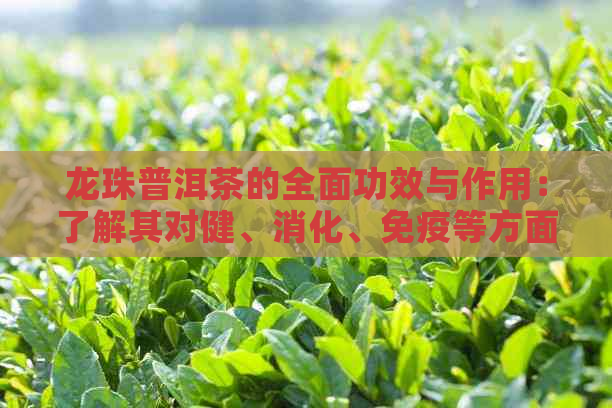 龙珠普洱茶的全面功效与作用：了解其对健、消化、免疫等方面的显著影响