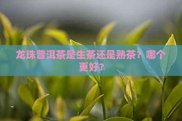 龙珠普洱茶是生茶还是熟茶？哪个更好？