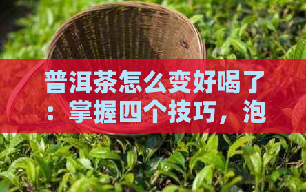 普洱茶怎么变好喝了：掌握四个技巧，泡出好茶不易涩