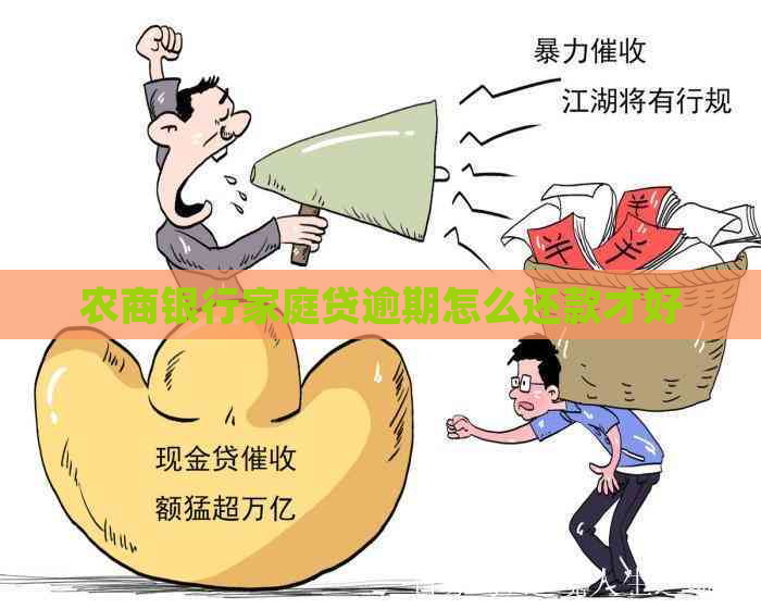 农商银行家庭贷逾期怎么还款才好