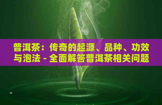 普洱茶：传奇的起源、品种、功效与泡法 - 全面解答普洱茶相关问题