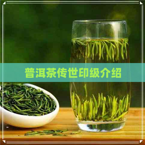 普洱茶传世印级介绍